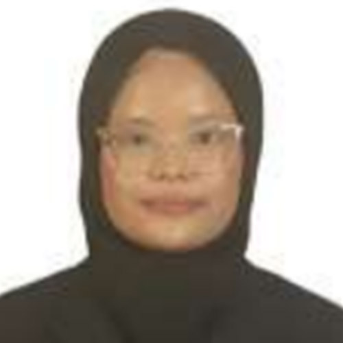 Chemical Engineer